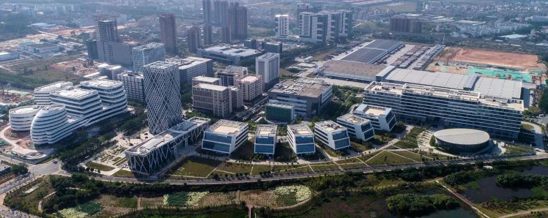 刘伯温四肖八码凤凰网艺术，全面释义、构建解答解释落实